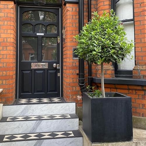 Idealist 50Cm Large Square Planter For Trees | Dark Grey Reinforced Stone Flower Pot With Drainage Holes L50 W50 H50.5 Cm, 92 Litres - 8