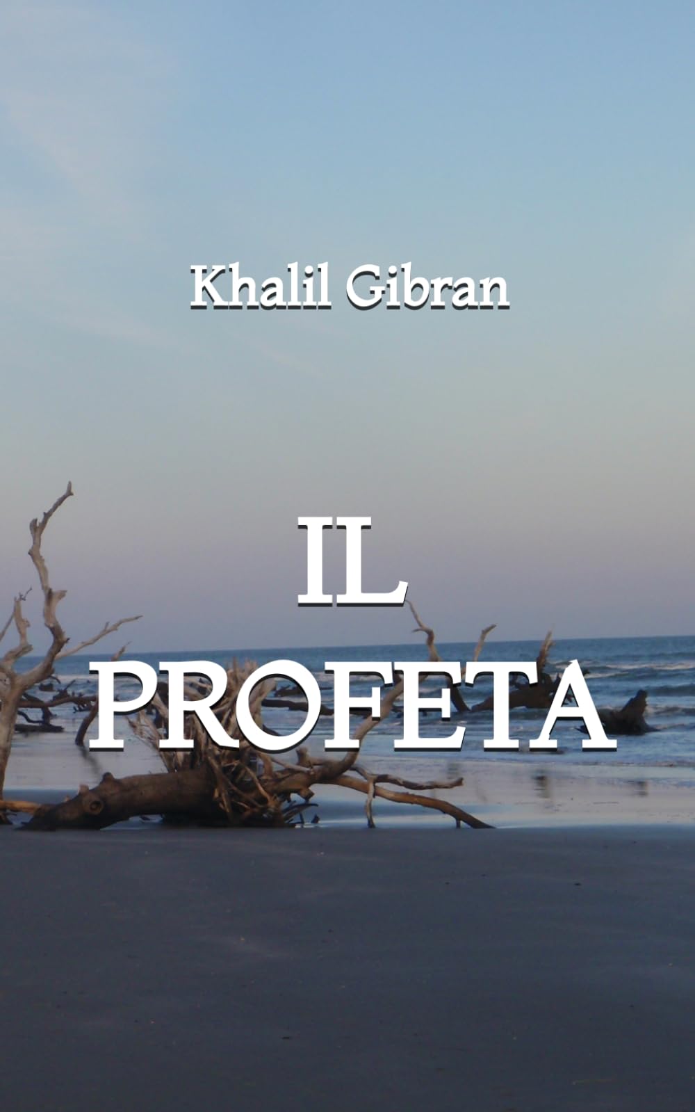 Il Profeta