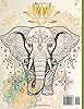 Balance in Colors Gateway to Relaxation and Creativity: A Coloring Book for Adults Featuring Tranquil Nature, Urban Calm, and Inspirational Animals for Mindfulness and Stress Relief #1