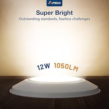 Amico 12 Pack 5/6 Inch LED Disk Lights, Dimmable Flush Mount