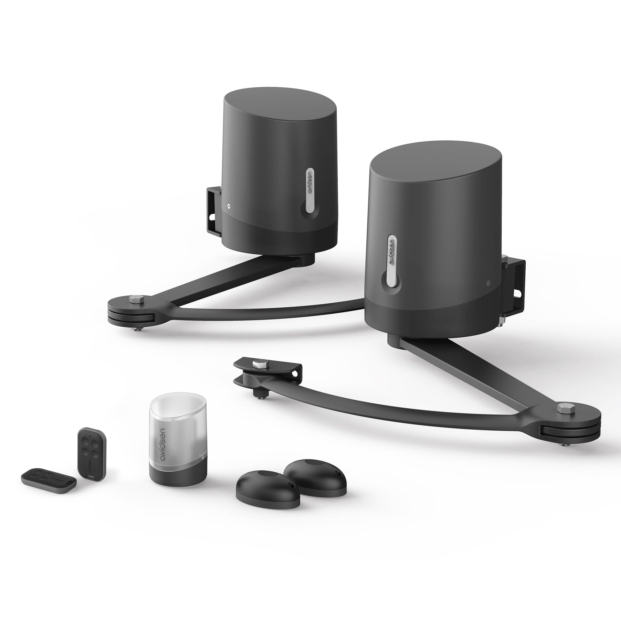 Avidsen Orane Connect Motorisation Connectée pour Portail Battant – Automatisme 24V pour Portail jusqu'à 2,​5 m et 250 kg par Battant, Contrôle Smartphone et Assistant Vocal