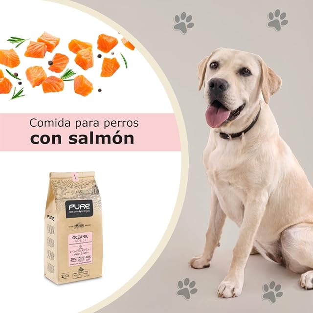 Foto 3 de 7 de Pure Oceanic Adult Salmón y Patata 2 kg - Pienso Holístico con Carne Fresca para Perros Adultos