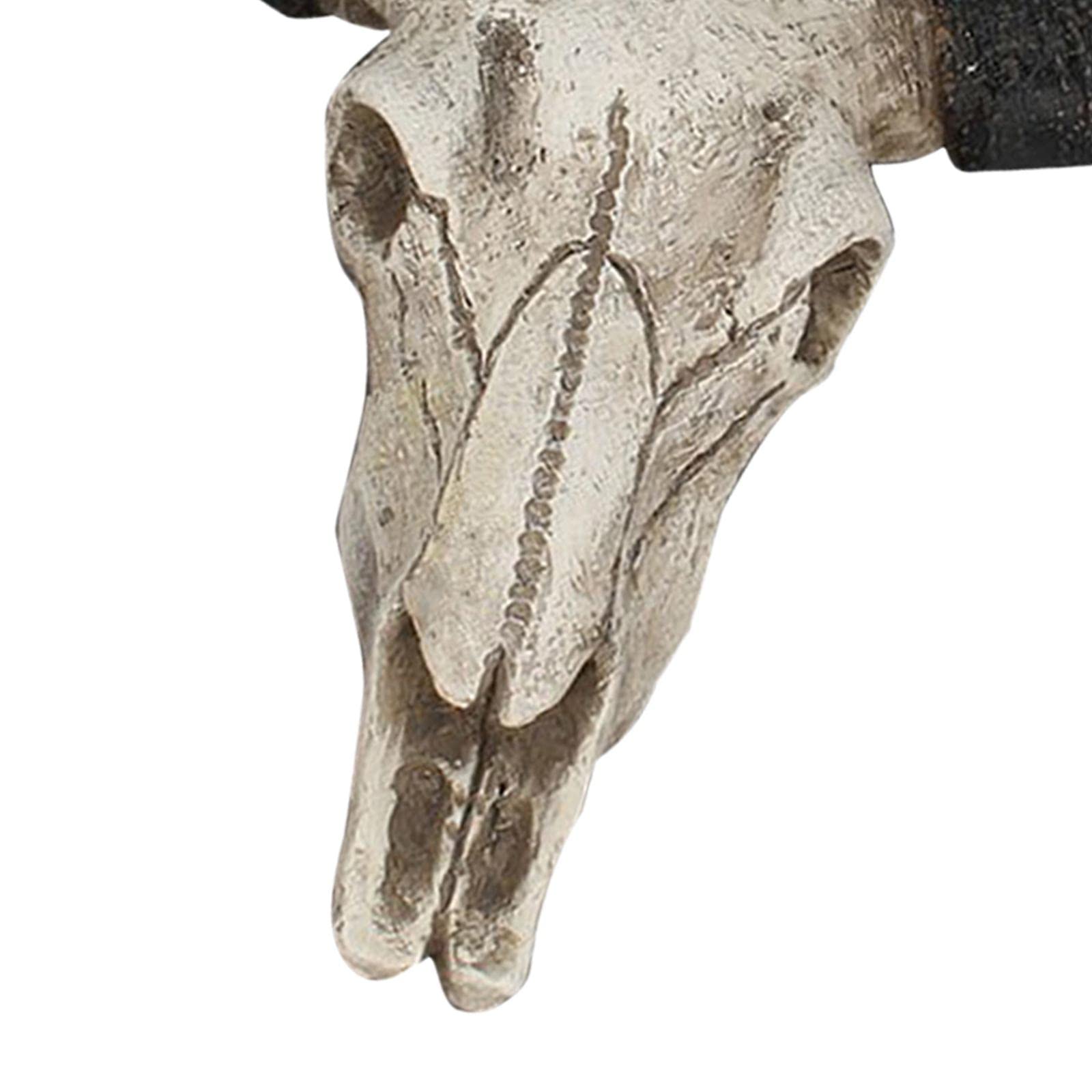 VANKOA Harz Bullenschädel Bullenkopf Stierkopf Bulle Schädel Kopf Wanddeko