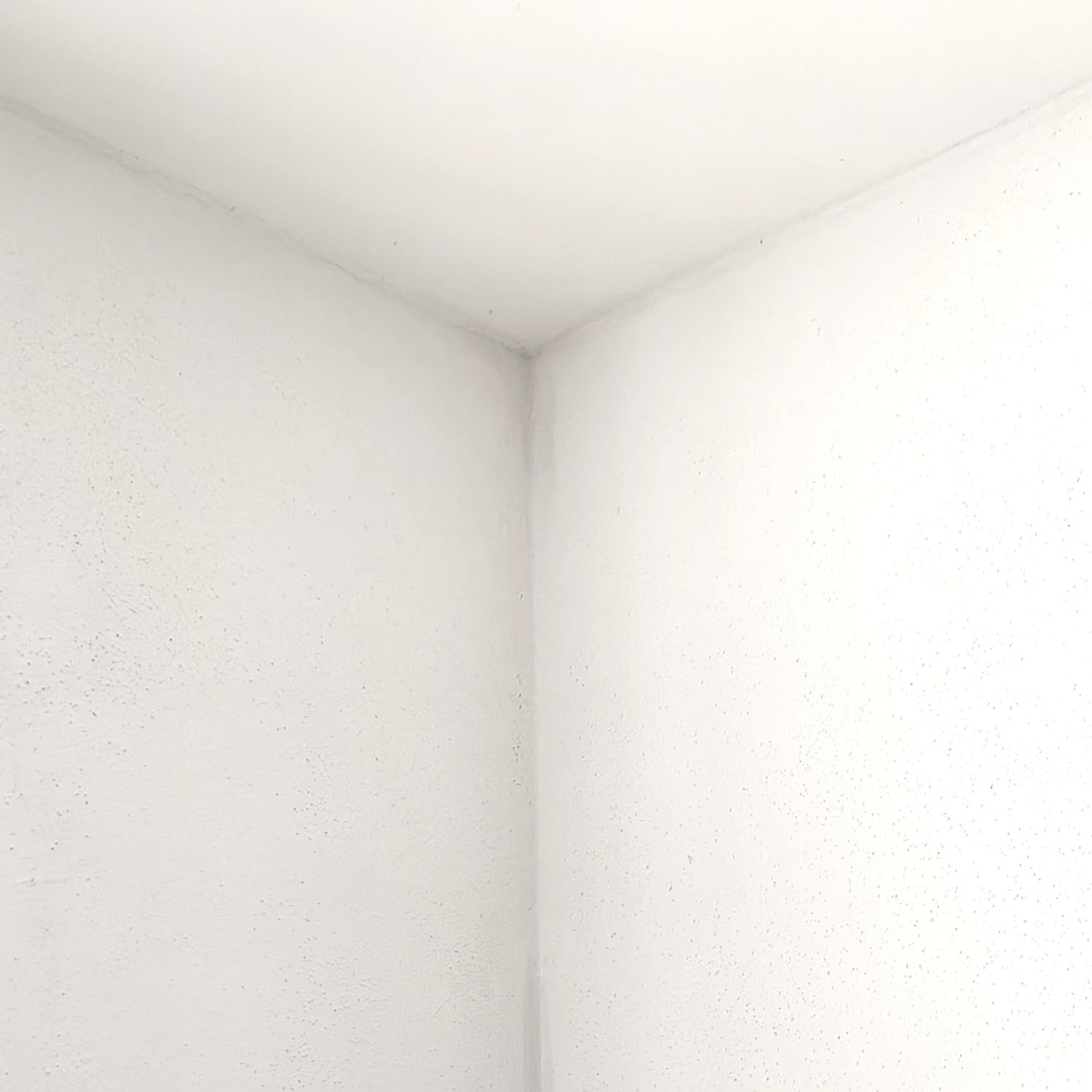 Tobolin Sanierfarbe Weiß 10 L - Antikondensationsfarbe zur Schimmelsanierung - Innenfarbe mit hoher Deckkraft und Langzeitschutz vor Schimmelbildung - Renovierungsfarbe nach Schimmelbefall