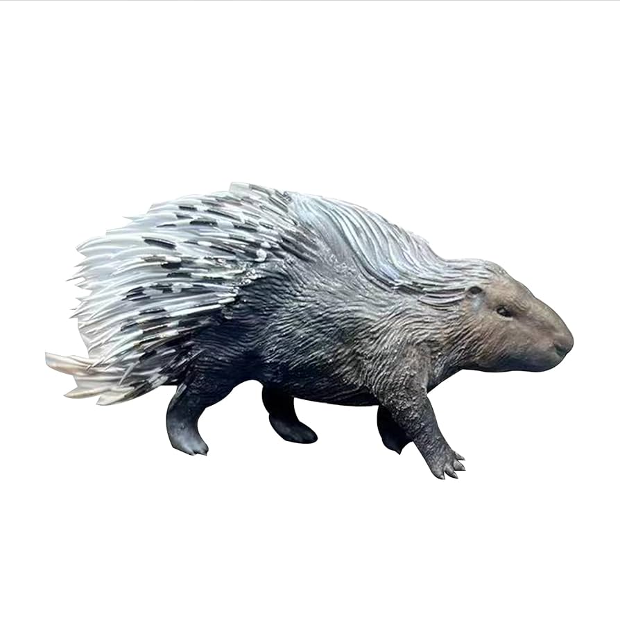 マレーヤマアラシ（Malayan porcupine）頭骨 Sunda Porcupine 硬い針毛