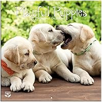 Vista 2 de Turner - Mini calendario fotográfico de pared de cachorros juguetones (24998950017)
