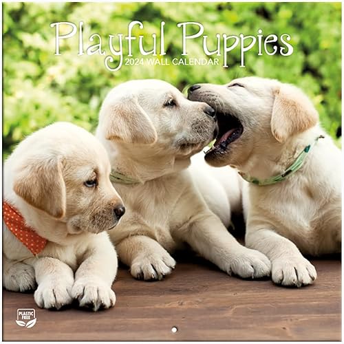 Miniatura 2 de Turner - Mini calendario fotográfico de pared de cachorros juguetones (24998950017)