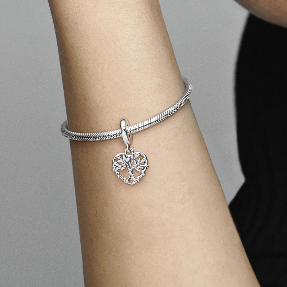 Pandora Passions Charmes