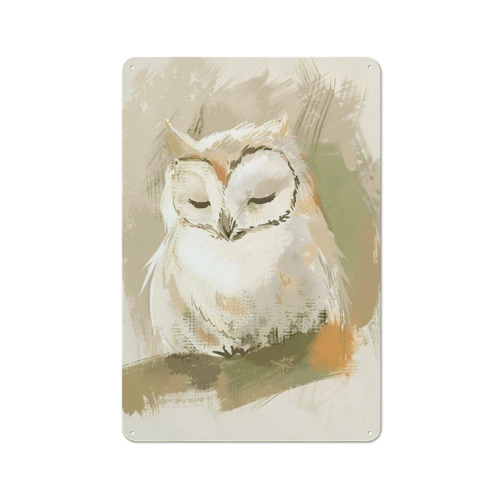 Junmoney Cute Sleeping Baby Owl Nursery Illustration Rustic Metal Plaque 30X20cm For Studio Or Craft Room, Housewarming Present For People Styling Studio And Craft Room
