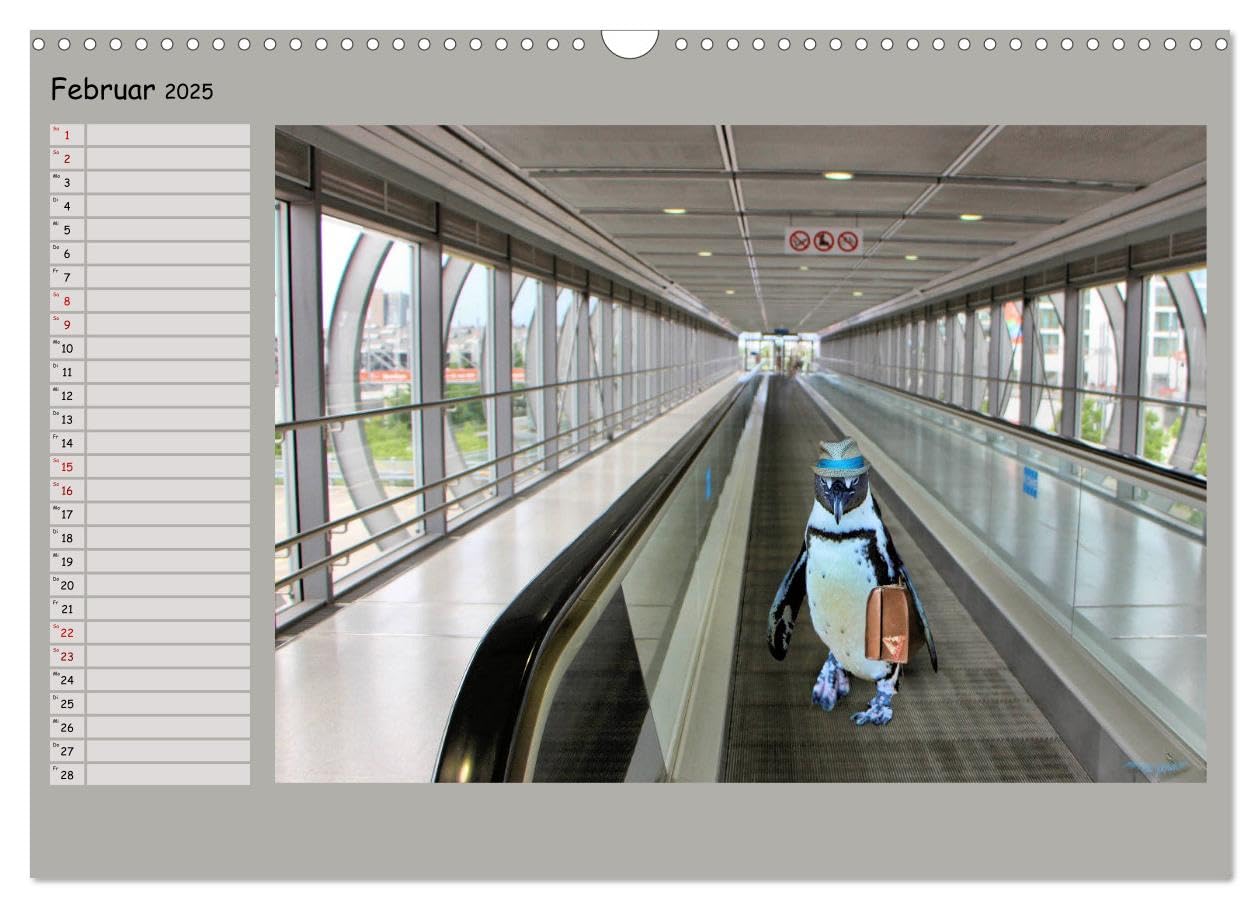 Pinguine privat Planer (Wandkalender 2025 DIN A3 quer), CALVENDO Monatskalender: Momentaufnahmen aus ihrem Alltag (CALVENDO Spass)