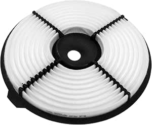 Blue Print ADA102208 Air Filter - Parts In Motion