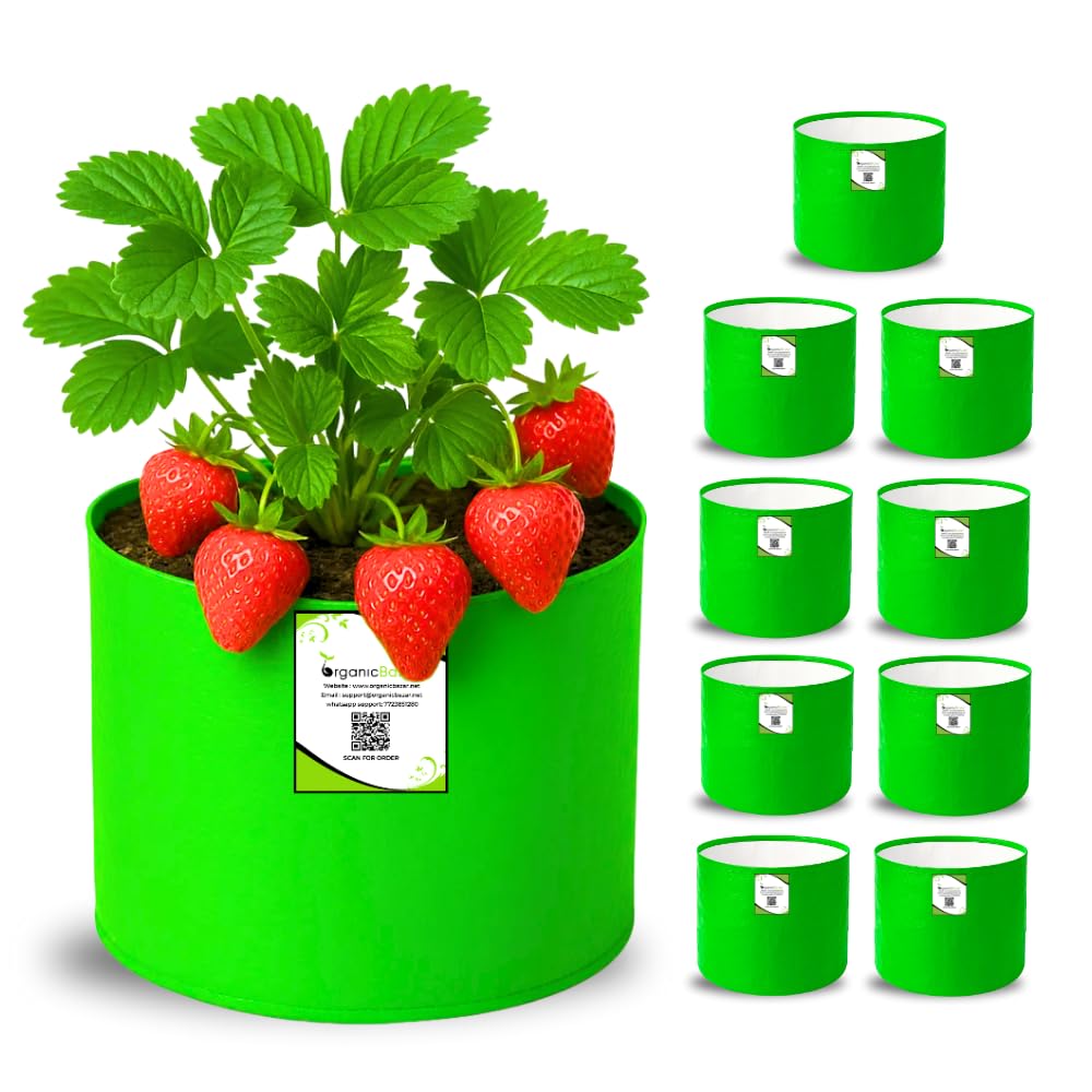 Big Fruit Plant Grow Bags - Organic Bazar (Pack of 2) -23 Big Fruit Plant Grow Bags - Organic Bazar (Pack of 2) -23