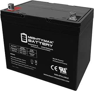 Mighty Max Battery