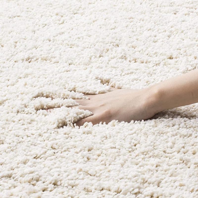 Image of Carpet for Living Room 5X7 FEET Modern Soft Shaggy Carpet Thick, Fluffy & 2 inch Pile Shag Rug for Your Kids Room, Bedroom & Livingroom (Snow White)