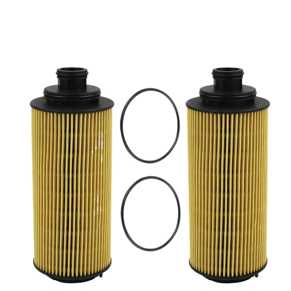 Filtro de Aceite de Motor 2 Piezas con Kit Compatible con Holden Trailblazer 2012 2013 2014 Colorado WCO172 12636838 Repuesto para Ryco R2734P