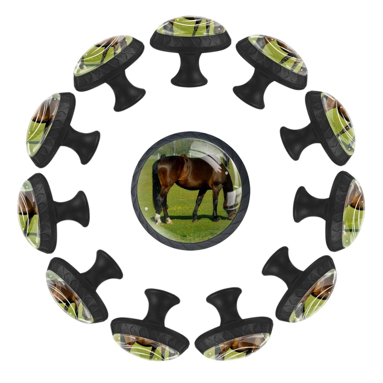 Boutons de tiroir chevaux 35 mm pour remplacer et réparer des poignées de commode
