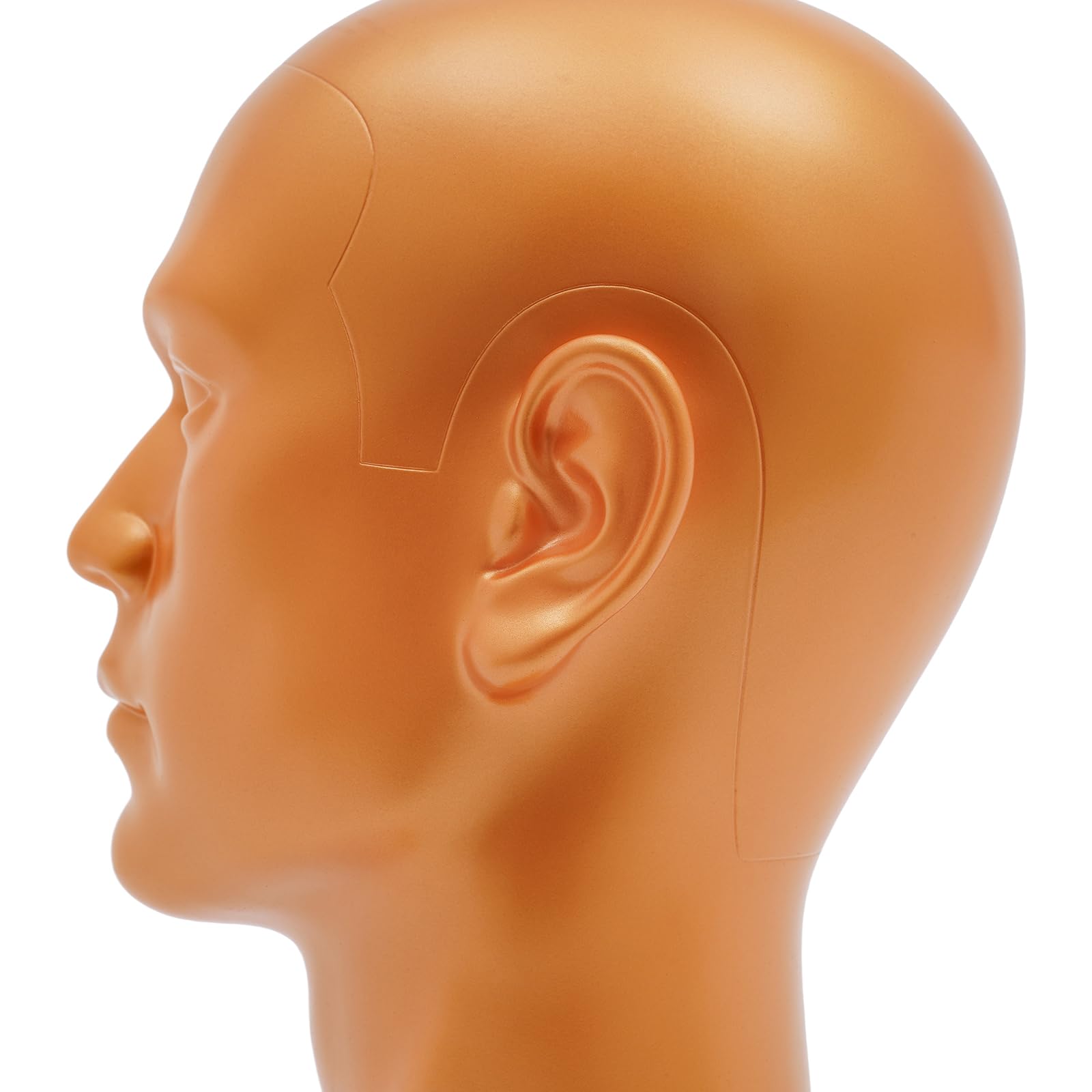 Manichino testa manichino, testa maschile in plastica PVC, circonferenza testa 50 cm, altezza 30 cm, per parrucchieri, oro