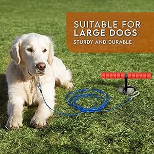 20FT Dog Tie Out Cable and Stake,Heavy Duty Dog Stake for Large Dogs,Strongest Dog Anchor Holds 2 Large Dogs Up to 200 lbs,Safe On Yard,Beach,Camping,Outdoor (Black)