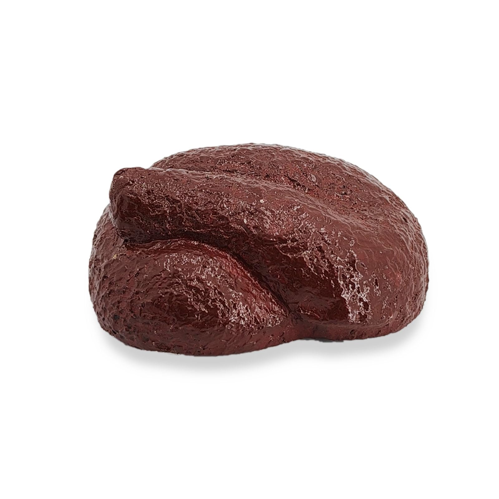 Fake Shit Geocache Container