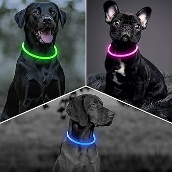 Amazon | 犬用LED首輪 光る 犬 散歩 ライト 夜 ライト 光る首輪