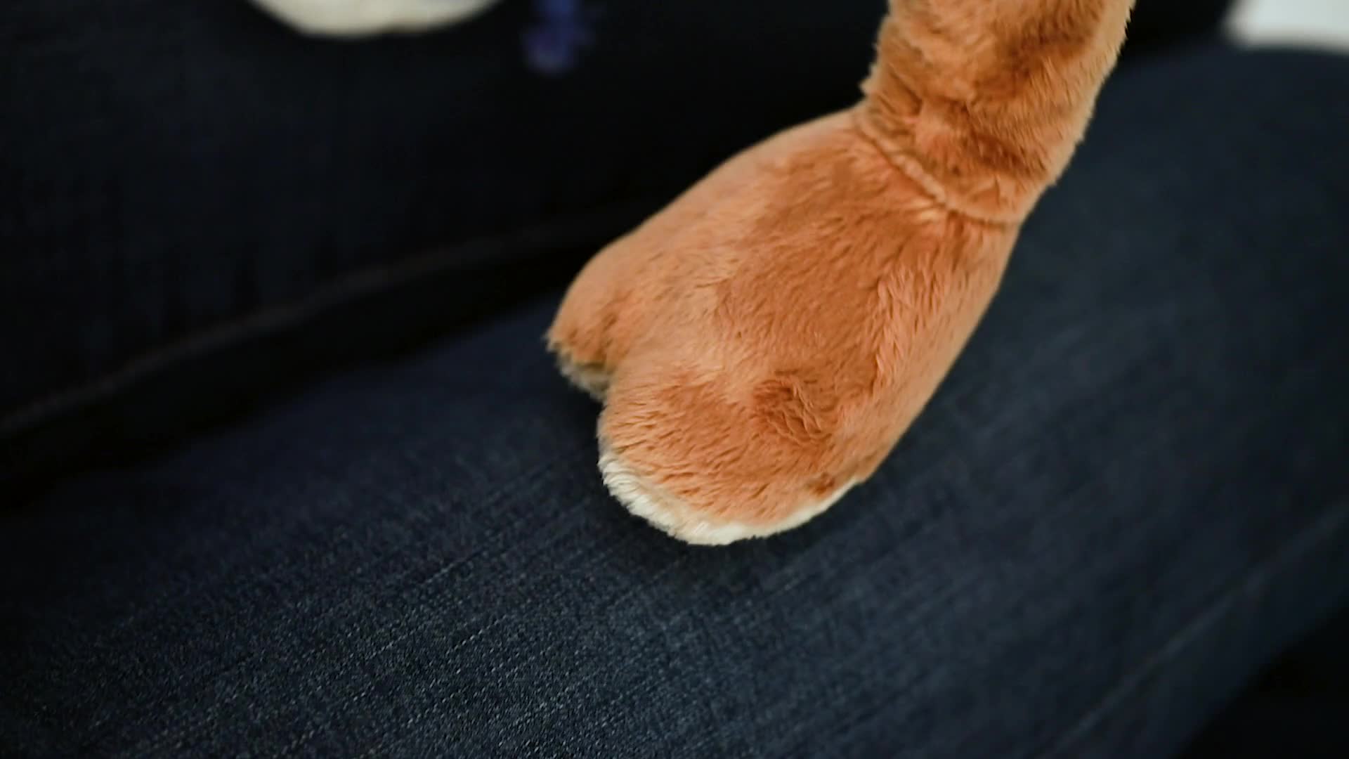 SIGIKID 40989 Lernaffe Soft PlayQ Mädchen und Jungen Lernspielzeug empfohlen ab 1 Jahr mehrfarbig, STK – Bild 8