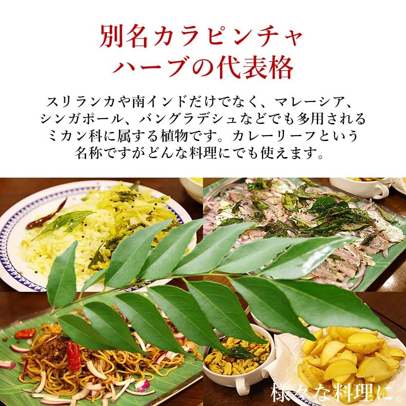 Amazon.co.jp: Curry Reaf カレーリーフ Karapincha カラピンチャ 30g 