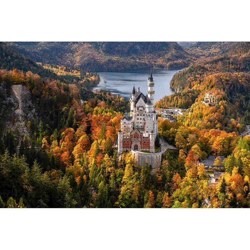 Kasteel Forest Groot Muurpapier 3D Muurschildering Behang
