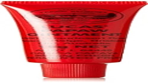 Lucas Papaw Ungüento 15G (con aplicador de labios) La mejor crema de pata para labios agrietados, quemaduras menores, quemaduras solares, cortes,