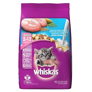 amazon cat biscuits