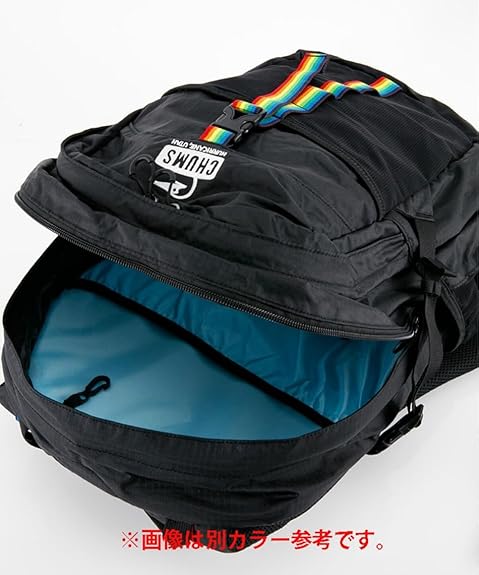 Amazon.co.jp: [チャムス] Spring Dale 25・Blue/Sapphire : ファッション