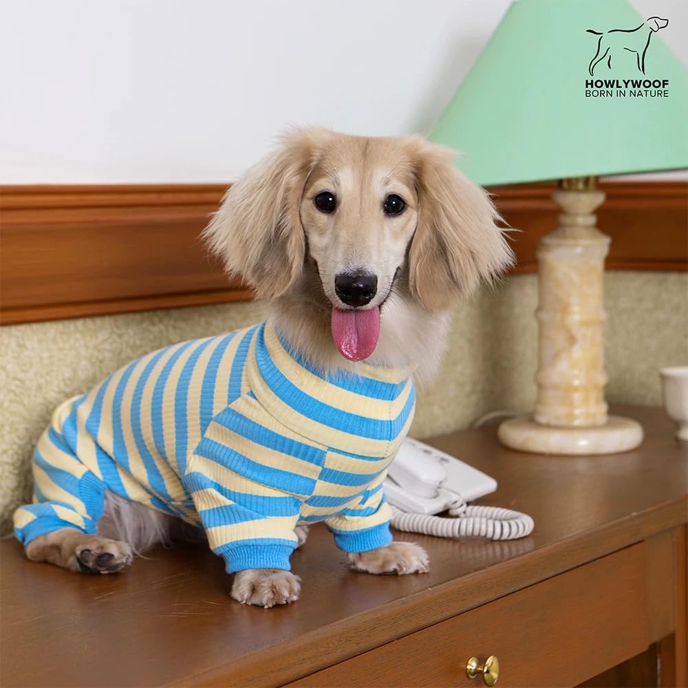 Dackel-Hunde-Shirt, dünn gestreift, Einteiler für Wiener-Hunde, leicht, für alle Jahreszeiten, weiche und bequeme Passform für Doxie- und Kurzbeinrassen, Blau und Gelb, Größe 3 (7,3–9,5 kg))