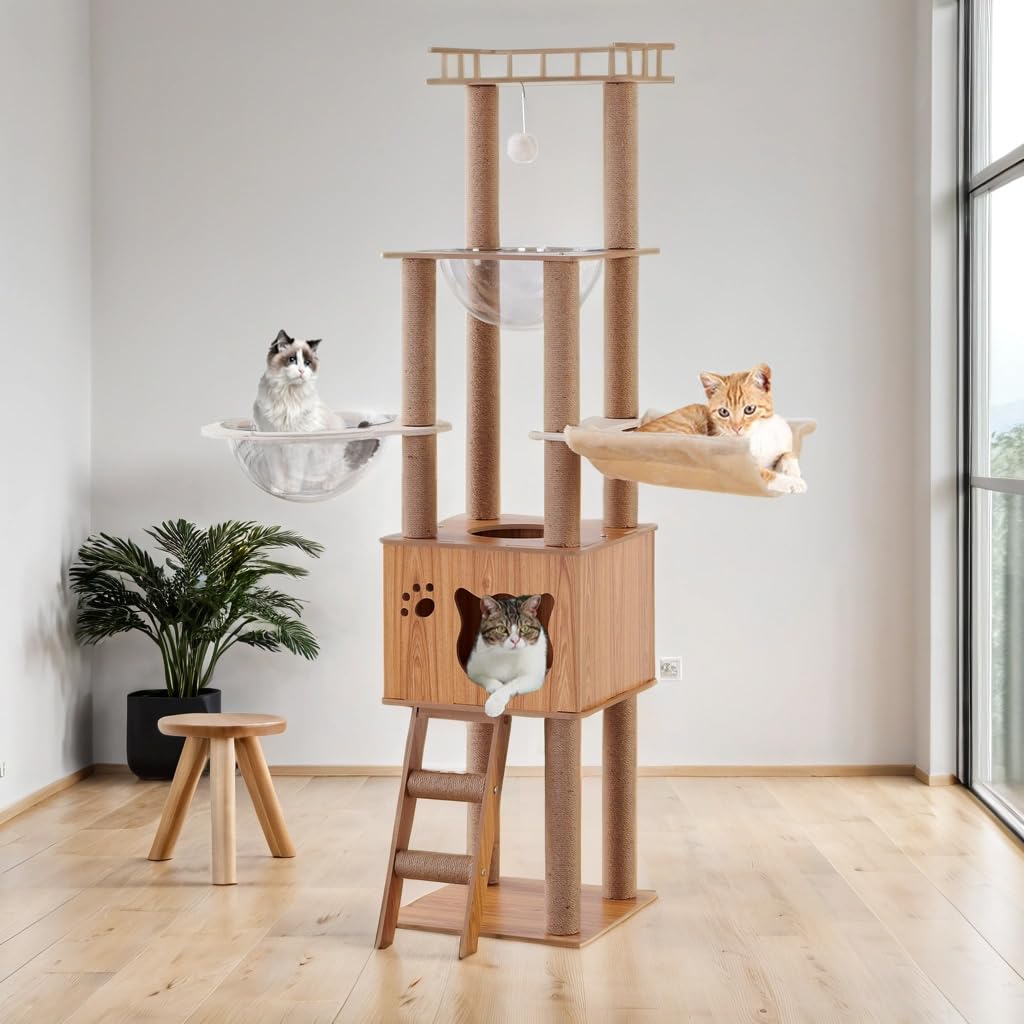 Árbol para Gatos de 155 cm, con 1 Hamaca, casa, 2 cápsulas espaciales Transparentes, 1 Bola Colgante, 1 Plataforma de Salto, árbol para Gatos de Interior (Color del Tronco)