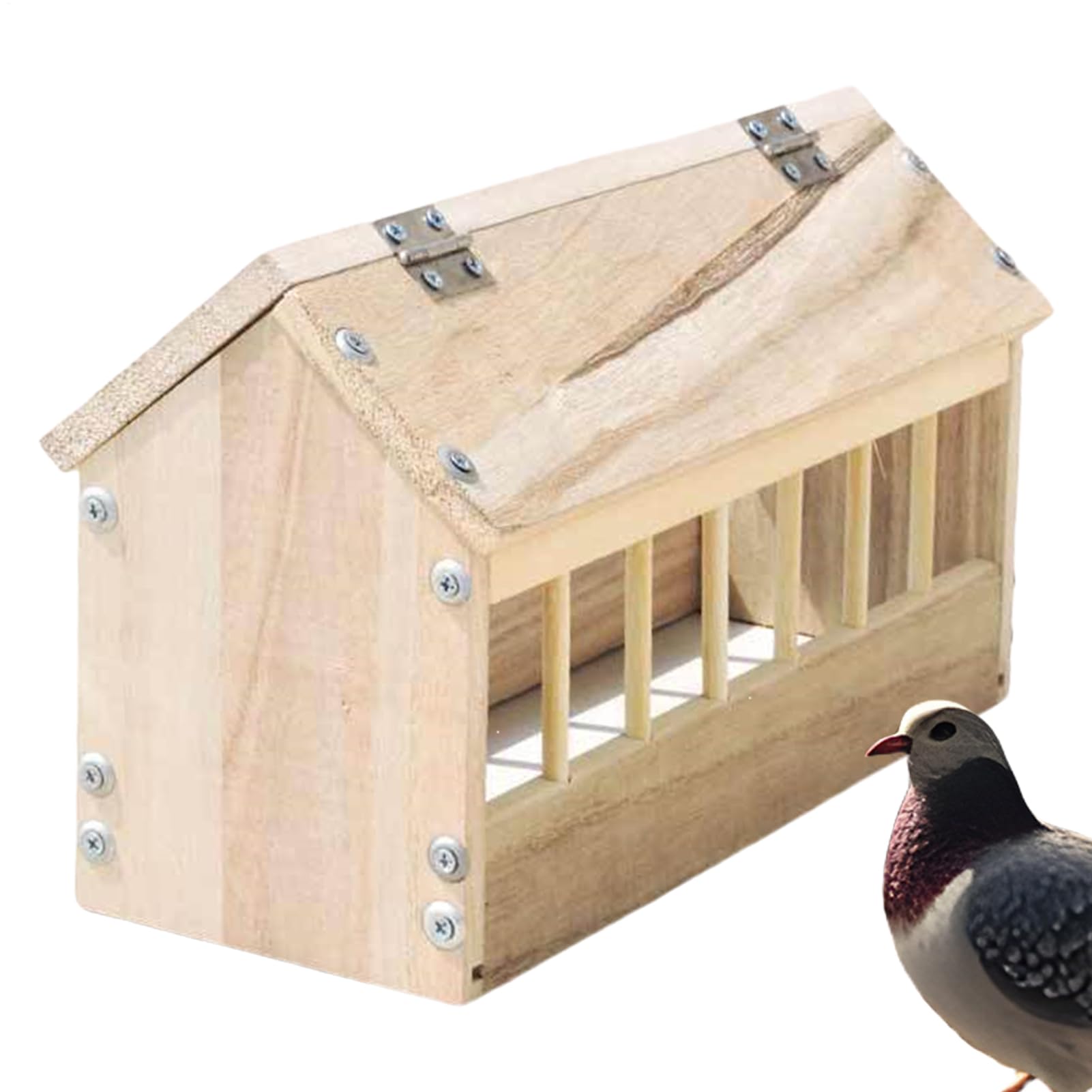 Distributeur de nourriture pour pigeons et canards de jardin