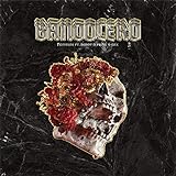  Bandolero (feat. Manguata, Skinny Ferrari, Diddy D & S-Lex) [Explicit]