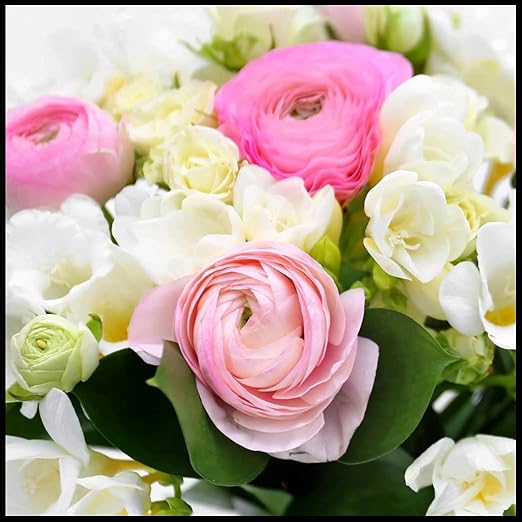 Amazon ラナンキュラス球根 美しい花 カラフル 美しい庭園で蝶を魅了する 観賞植物 絶妙な切り花 すべての庭の必需品 エレガントな外観 5 ラナンキュラス球根 A 花