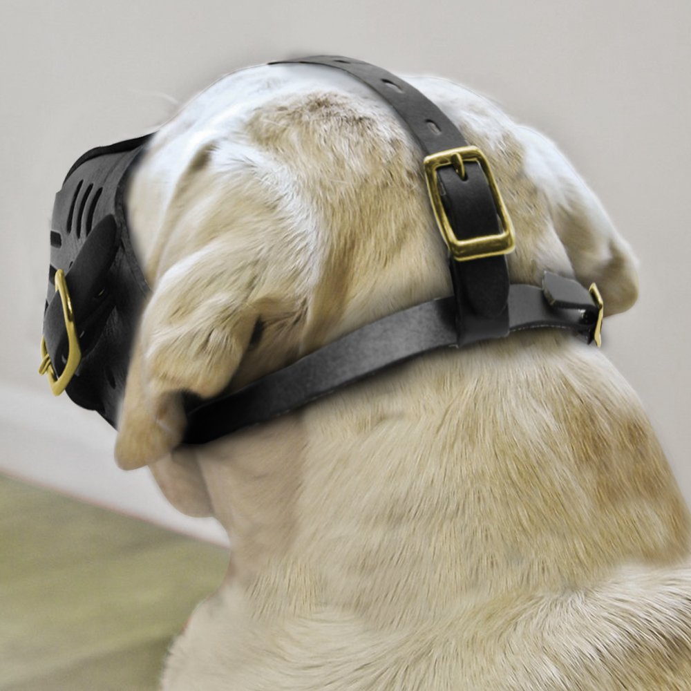 Museruola per Cani in Vera Pelle Museruola per Cani Regolabile Forniture per Addestramento per Evitare di Mordere Masticare Abbaiare