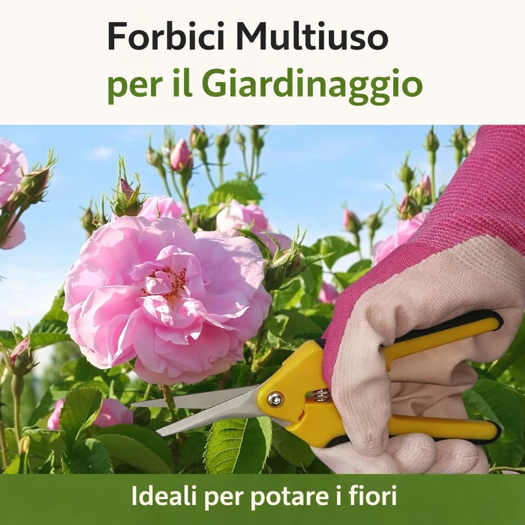 Topolenashop Forbici da Potatura Professionali 165 mm Acciaio Inox Cesoie Lame Dritte Bonsai