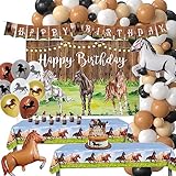 HYOWCHI Western Party Decorations Boy - Cowboy Birthday Party Supplies, Balloon Garland Arch, Backdrop, Banner, Tablecloth, Cake Topper, Wild West Theme Horse Rodeo Cowboy Birthday Party Decorations