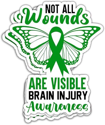 (3 piezas) Cerebro Lesiones Concientización No Todas Las Heridas Son Visibles Pegatinas de Superviviente de TBI Pegatinas de Lesiones Cerebrales