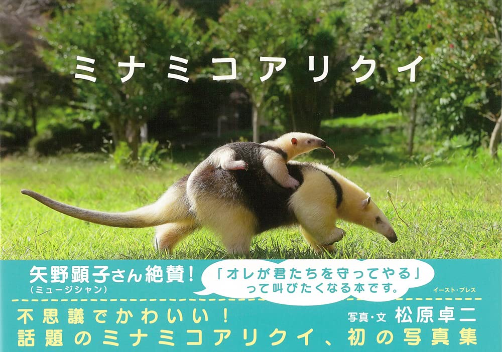 ミナミコアリクイ 松原卓二 本 通販 Amazon