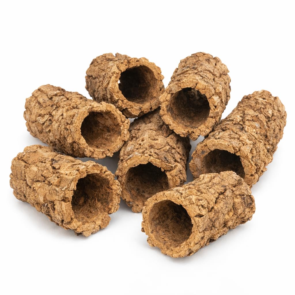 Sphagnum-Shop - Terrario in sughero naturale, 15-20 cm, 6-7 pezzi