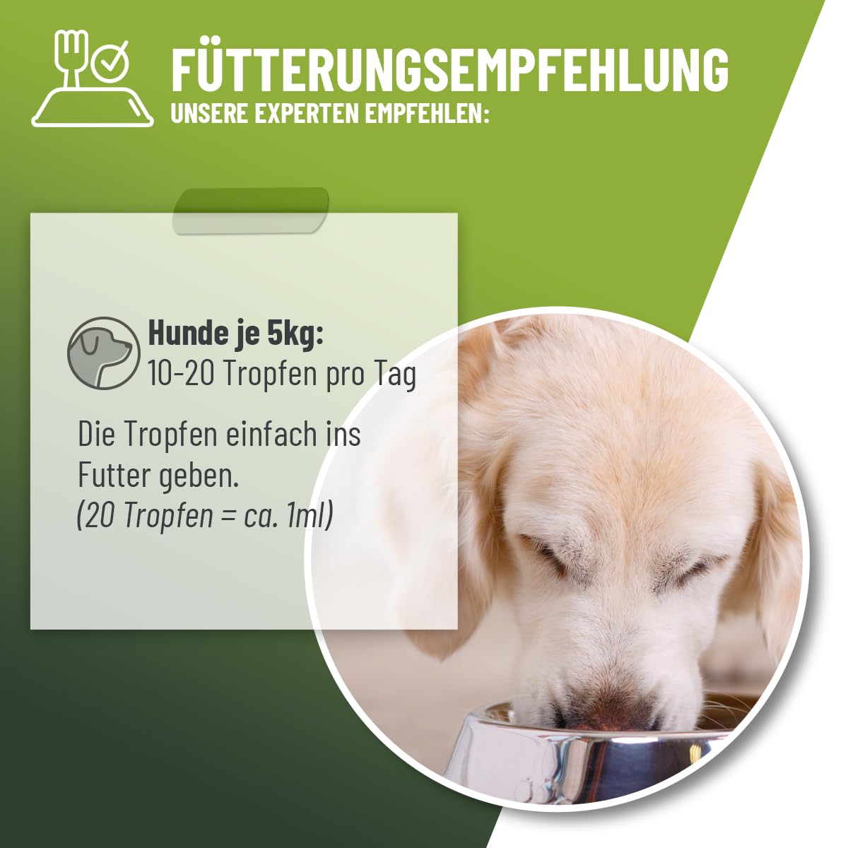 ReaVET Bronchial Liquid Tropfen für Hunde 100ml I Liquid zur Unterstützung der Atemwegsfunktion – für freie Atemwege