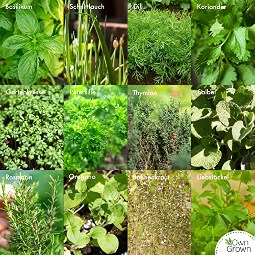 OwnGrown Kräuter Samen Set 12 Sorten Garten und Küchenkräuter Samen - Petersilie, Kräuter der Provence, italienische Kräuter, Koriander Samen, Dill, Kräutersamen für Balkon, und Hochbeet
