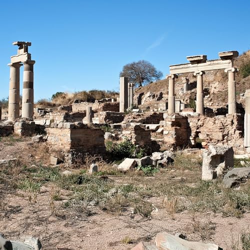 How We Respond to a Storm