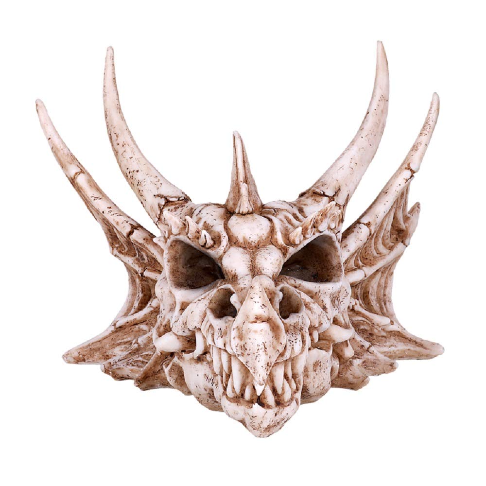 Amazon.com: Pacific Trading Dragon Skull Head Figurine New : Home