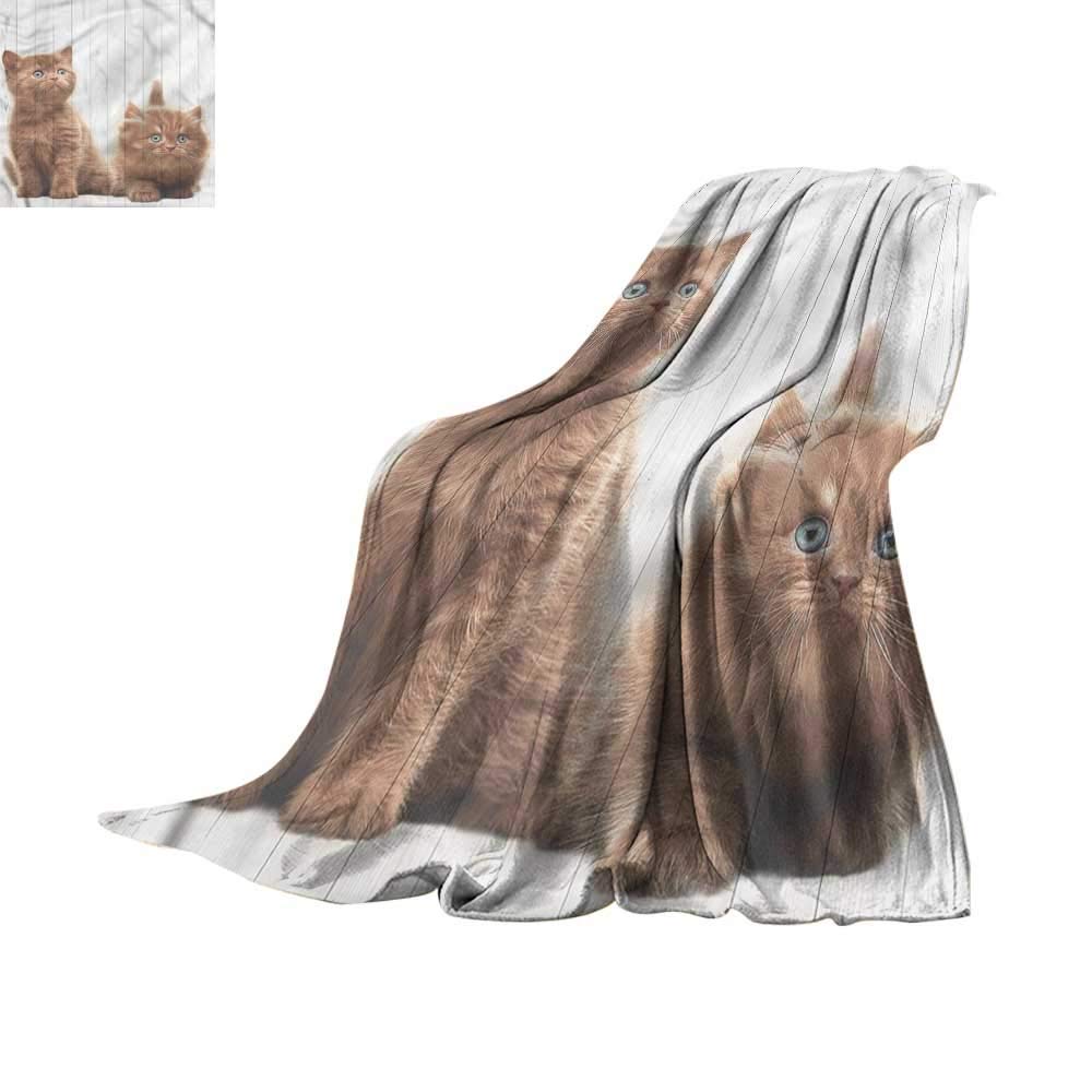 Tissu d'ombrage pour extérieur anti-UV filet protection solaire jardin