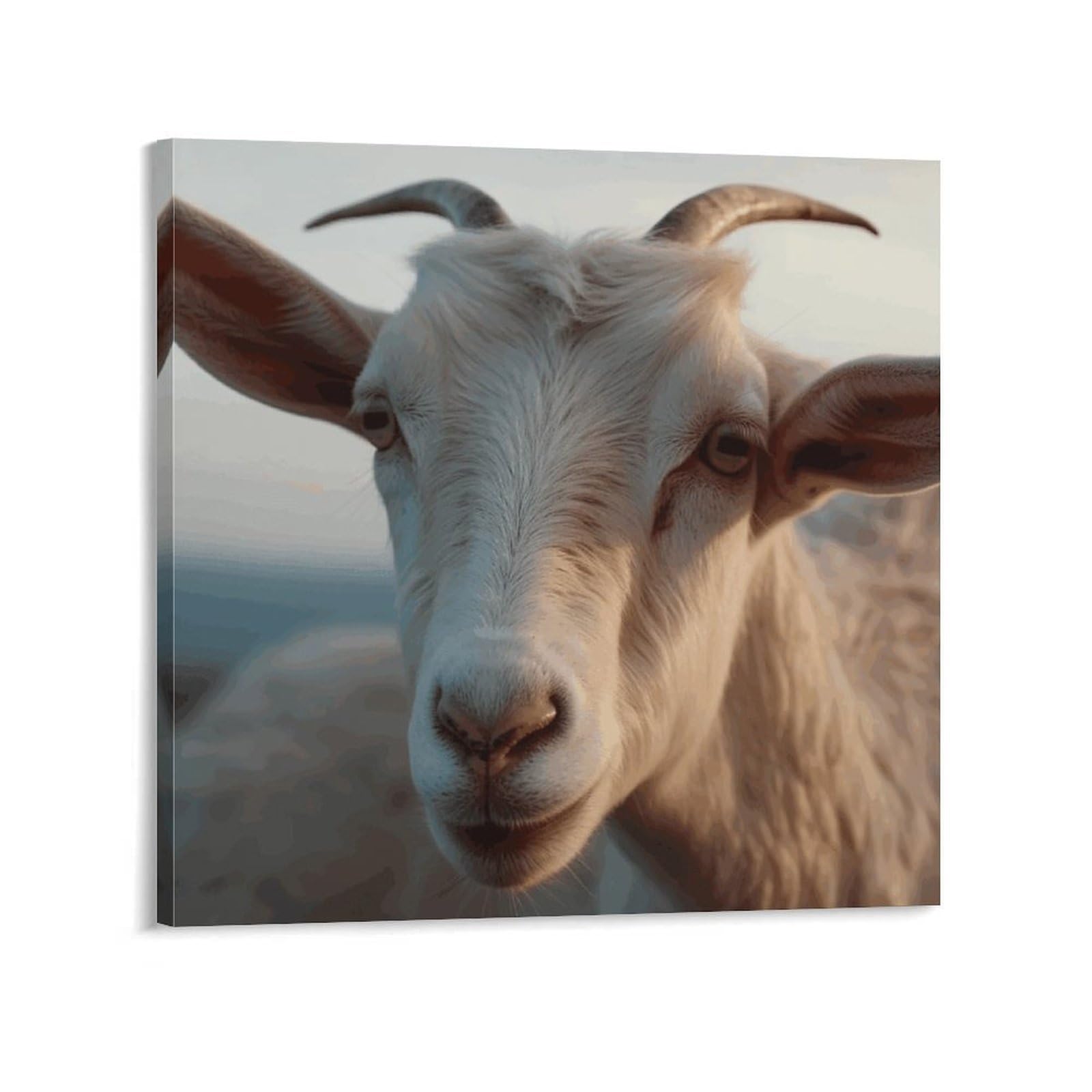 Docile Goat Canvas Wall Art for Bedroom 12x12inch(30x30cm) Canvas Prints Artwork for Walls Modern Picture Artwork Painting for Living Room Aesthetic Wall Paintings for Bathroom Kitchen Office Decor