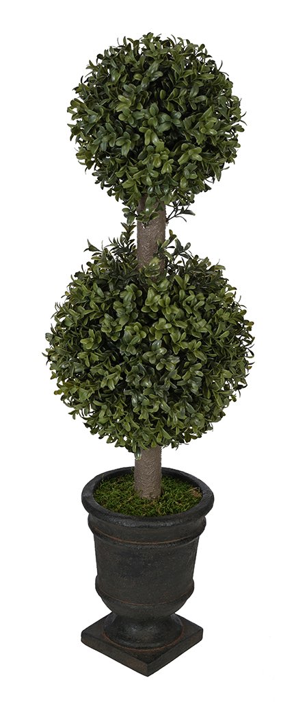 Tradingsmith Preserved Boxwood Ball on Pot - 16