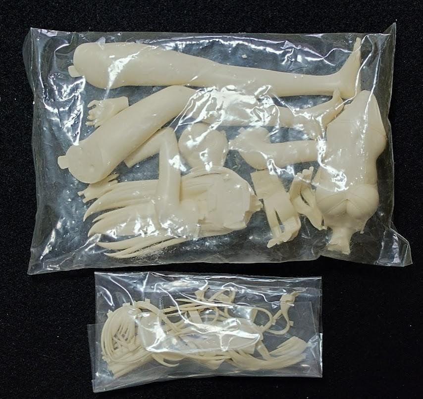風見みずほ 水着ver. おねがいティーチャー リューノス ガレージキット Amazon.co.jp: 風見みずほ 水着ver. おねがいティーチャー リューノス