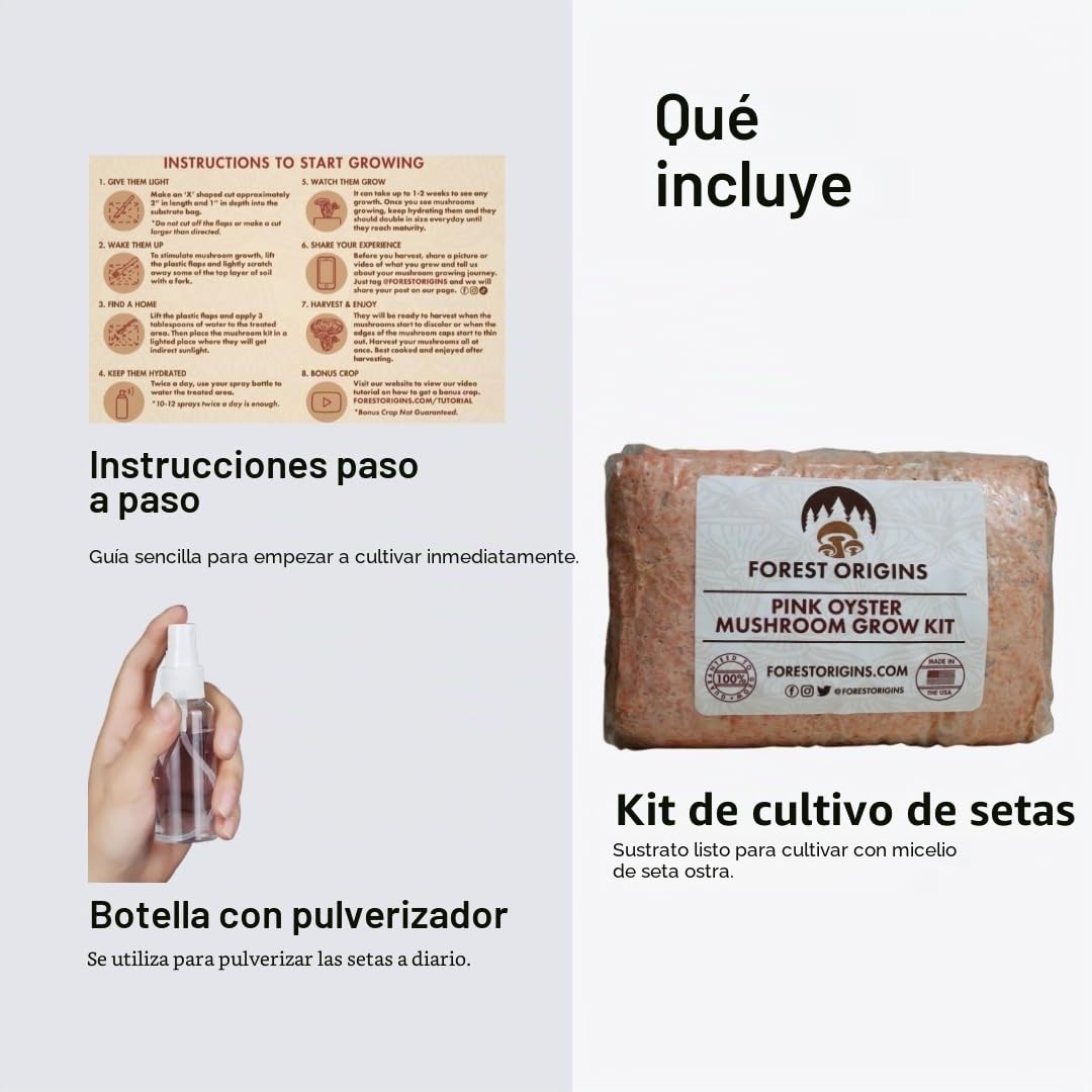 Pink Oyster Mushroom Farm – Kit de cultivo de setas – Kit de cultivo todo en uno para interiores – Seta exótica